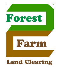 Forest 2 Farm Land Clearing
